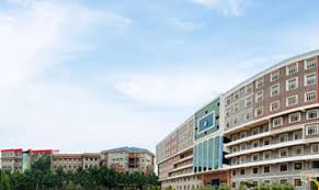 Kristu Jayanti College