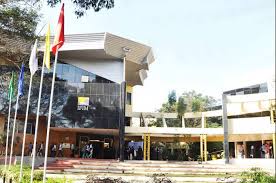 Jagdish Sheth School of Management