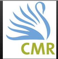CMR Centre for Media Studies  logo